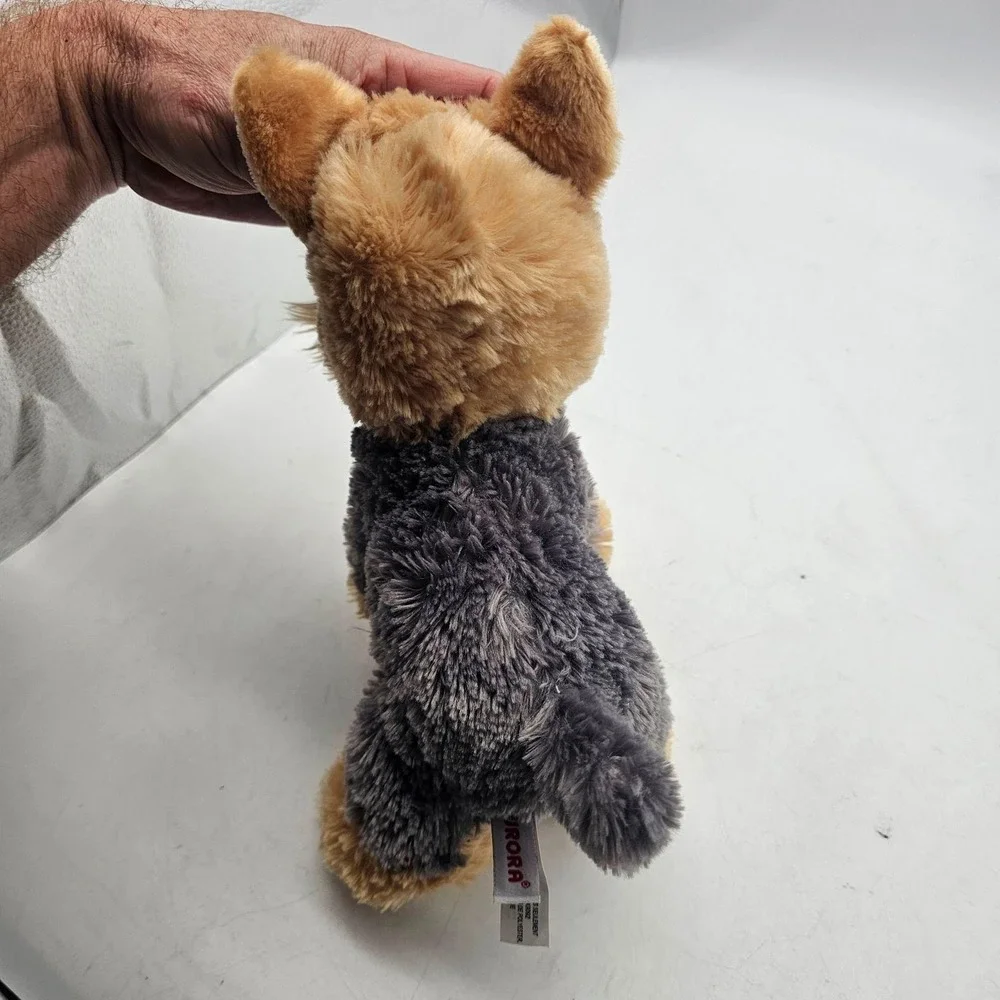 Aurora yorkie dog